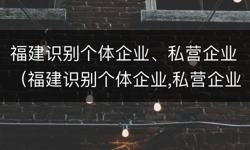 福建识别个体企业、私营企业（福建识别个体企业,私营企业是什么）