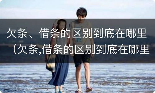 欠条、借条的区别到底在哪里（欠条,借条的区别到底在哪里可以查到）