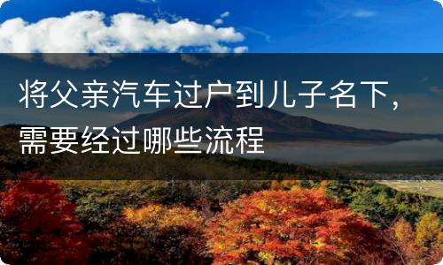 将父亲汽车过户到儿子名下，需要经过哪些流程