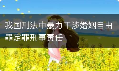 我国刑法中暴力干涉婚姻自由罪定罪刑事责任
