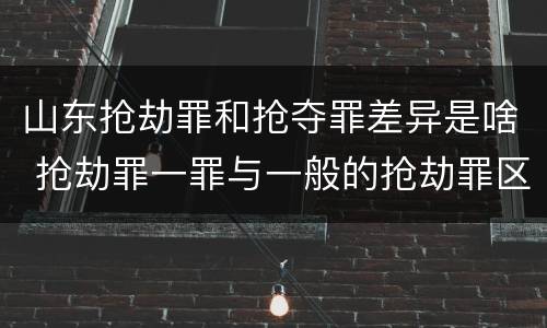 山东抢劫罪和抢夺罪差异是啥 抢劫罪一罪与一般的抢劫罪区别