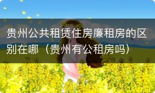 贵州公共租赁住房廉租房的区别在哪（贵州有公租房吗）