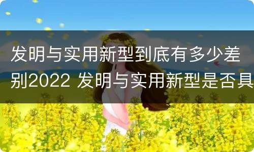 发明与实用新型到底有多少差别2022 发明与实用新型是否具有实用性