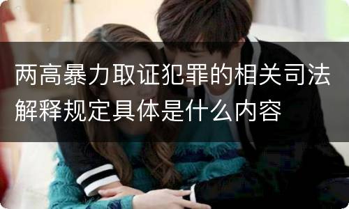 两高暴力取证犯罪的相关司法解释规定具体是什么内容