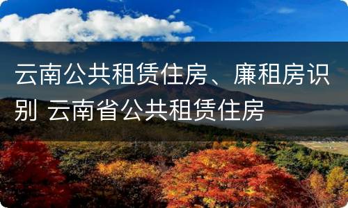 云南公共租赁住房、廉租房识别 云南省公共租赁住房