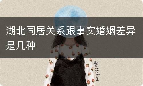 湖北同居关系跟事实婚姻差异是几种