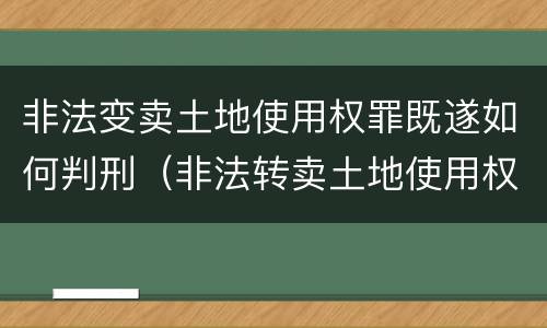 非法变卖土地使用权罪既遂如何判刑（非法转卖土地使用权）