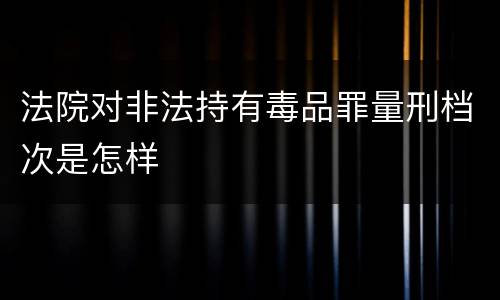 法院对非法持有毒品罪量刑档次是怎样