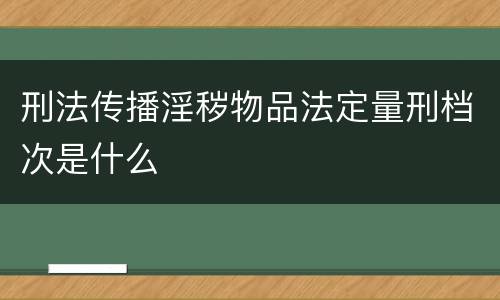 刑法传播淫秽物品法定量刑档次是什么