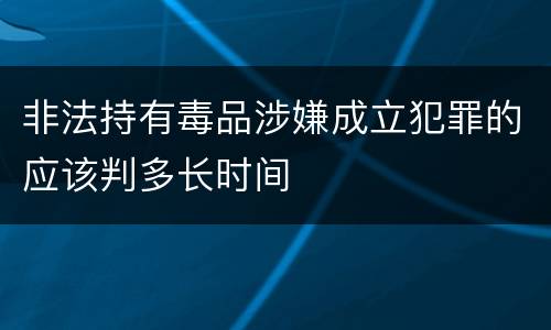 非法持有毒品涉嫌成立犯罪的应该判多长时间