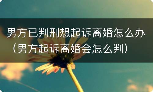 男方已判刑想起诉离婚怎么办（男方起诉离婚会怎么判）
