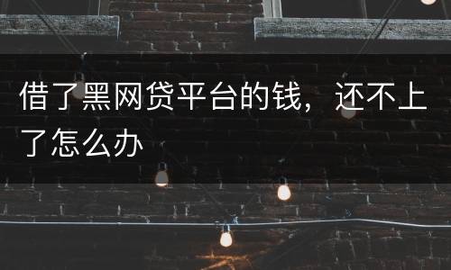 借了黑网贷平台的钱，还不上了怎么办