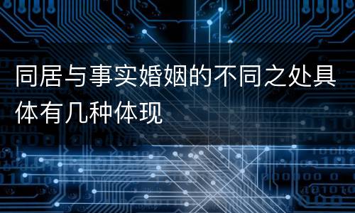 同居与事实婚姻的不同之处具体有几种体现