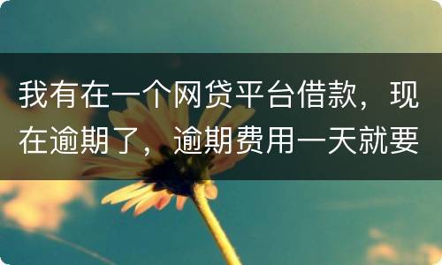 我有在一个网贷平台借款，现在逾期了，逾期费用一天就要高达140