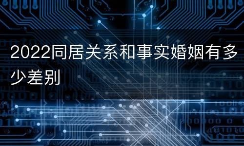 2022同居关系和事实婚姻有多少差别