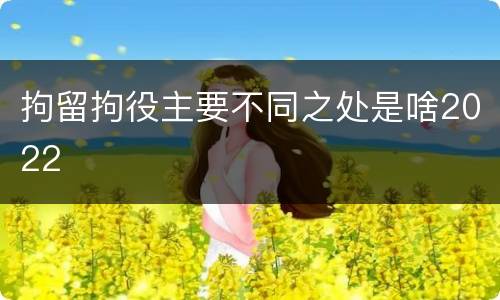 拘留拘役主要不同之处是啥2022