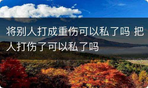 将别人打成重伤可以私了吗 把人打伤了可以私了吗