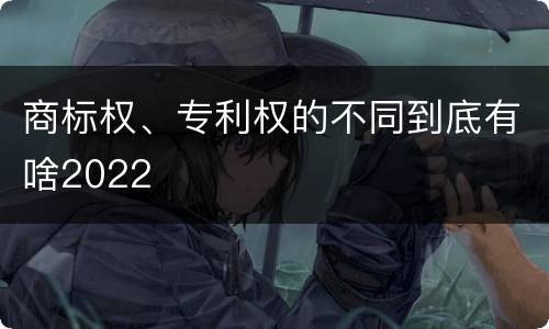 商标权、专利权的不同到底有啥2022