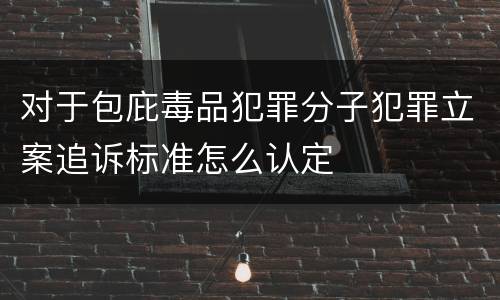 对于包庇毒品犯罪分子犯罪立案追诉标准怎么认定