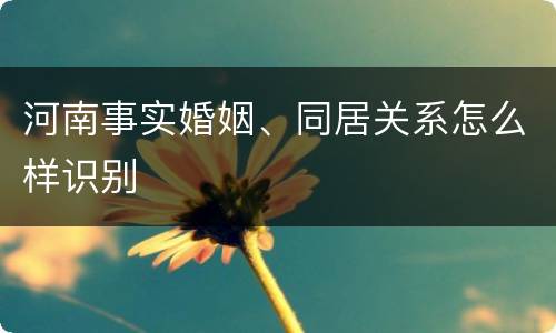 河南事实婚姻、同居关系怎么样识别