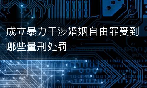 成立暴力干涉婚姻自由罪受到哪些量刑处罚