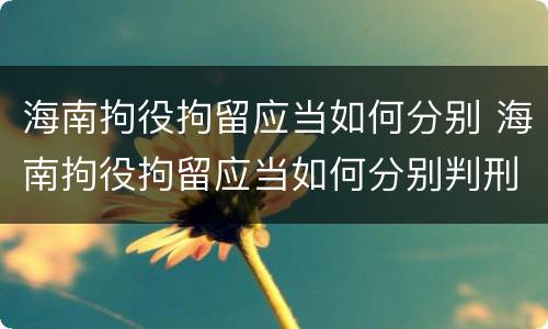 海南拘役拘留应当如何分别 海南拘役拘留应当如何分别判刑