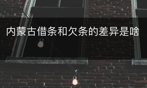 内蒙古借条和欠条的差异是啥