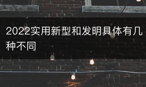 2022实用新型和发明具体有几种不同