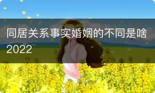 同居关系事实婚姻的不同是啥2022
