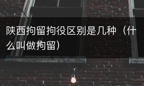 陕西拘留拘役区别是几种（什么叫做拘留）