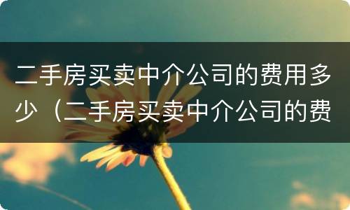 二手房买卖中介公司的费用多少（二手房买卖中介公司的费用多少啊）