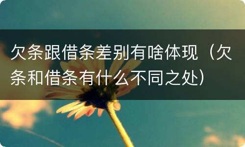 欠条跟借条差别有啥体现（欠条和借条有什么不同之处）