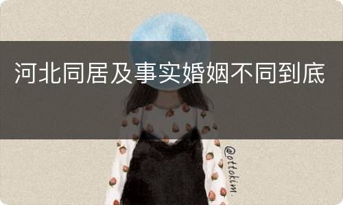河北同居及事实婚姻不同到底