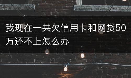 我现在一共欠信用卡和网贷50万还不上怎么办