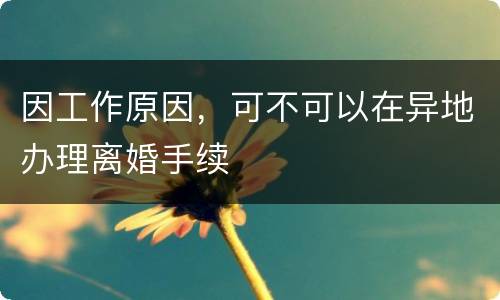因工作原因，可不可以在异地办理离婚手续