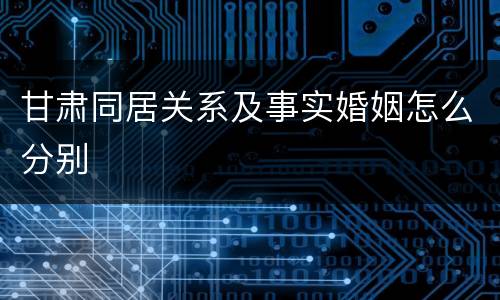 甘肃同居关系及事实婚姻怎么分别