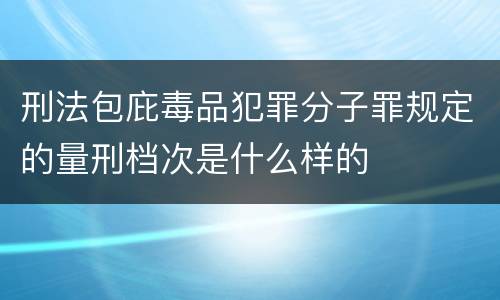 刑法包庇毒品犯罪分子罪规定的量刑档次是什么样的