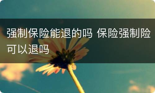 强制保险能退的吗 保险强制险可以退吗