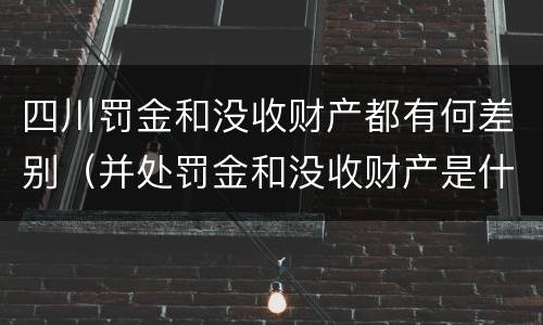 四川罚金和没收财产都有何差别（并处罚金和没收财产是什么意思）
