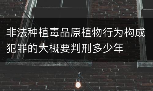 非法种植毒品原植物行为构成犯罪的大概要判刑多少年