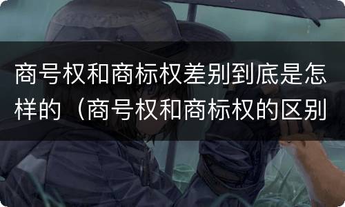 商号权和商标权差别到底是怎样的（商号权和商标权的区别）