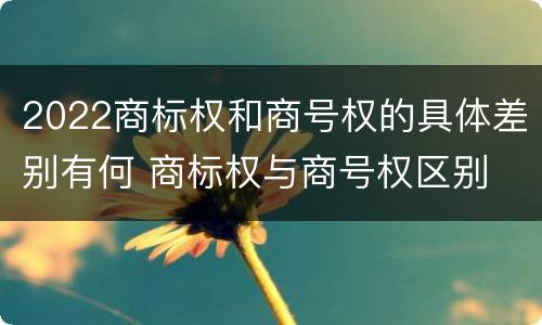 2022商标权和商号权的具体差别有何 商标权与商号权区别