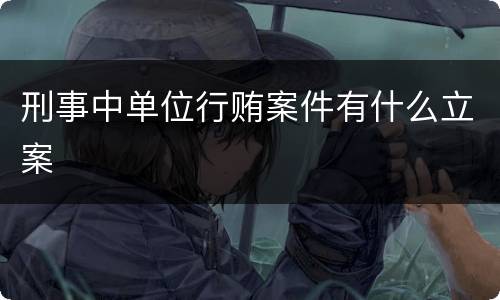 刑事中单位行贿案件有什么立案