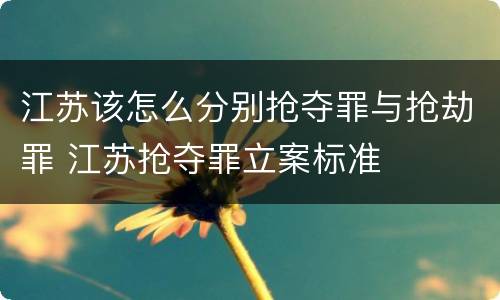 江苏该怎么分别抢夺罪与抢劫罪 江苏抢夺罪立案标准