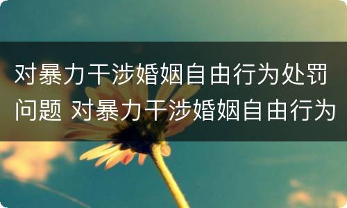 对暴力干涉婚姻自由行为处罚问题 对暴力干涉婚姻自由行为处罚问题的解释