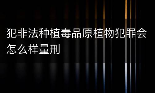 犯非法种植毒品原植物犯罪会怎么样量刑