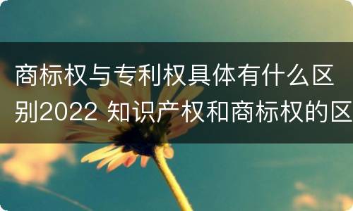 商标权与专利权具体有什么区别2022 知识产权和商标权的区别
