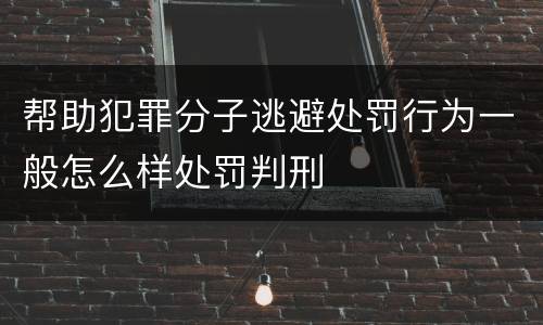 帮助犯罪分子逃避处罚行为一般怎么样处罚判刑