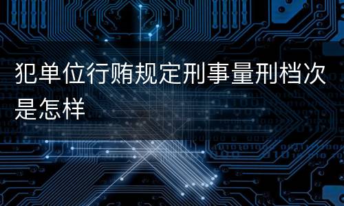犯单位行贿规定刑事量刑档次是怎样