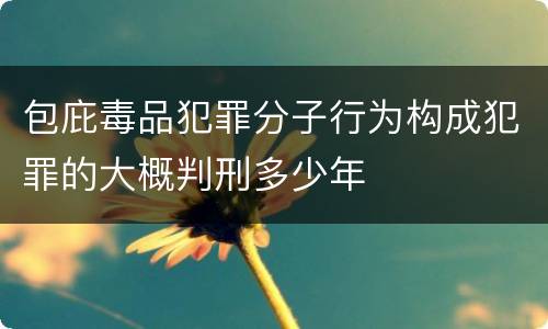 包庇毒品犯罪分子行为构成犯罪的大概判刑多少年